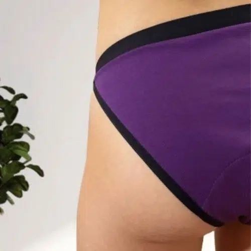 la première culotte menstruelle détachable 8 culotte menstruelle lea prune